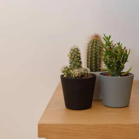 Liiiving In - Invictus Bolhao Market Apartment